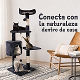 Ver la foto 8