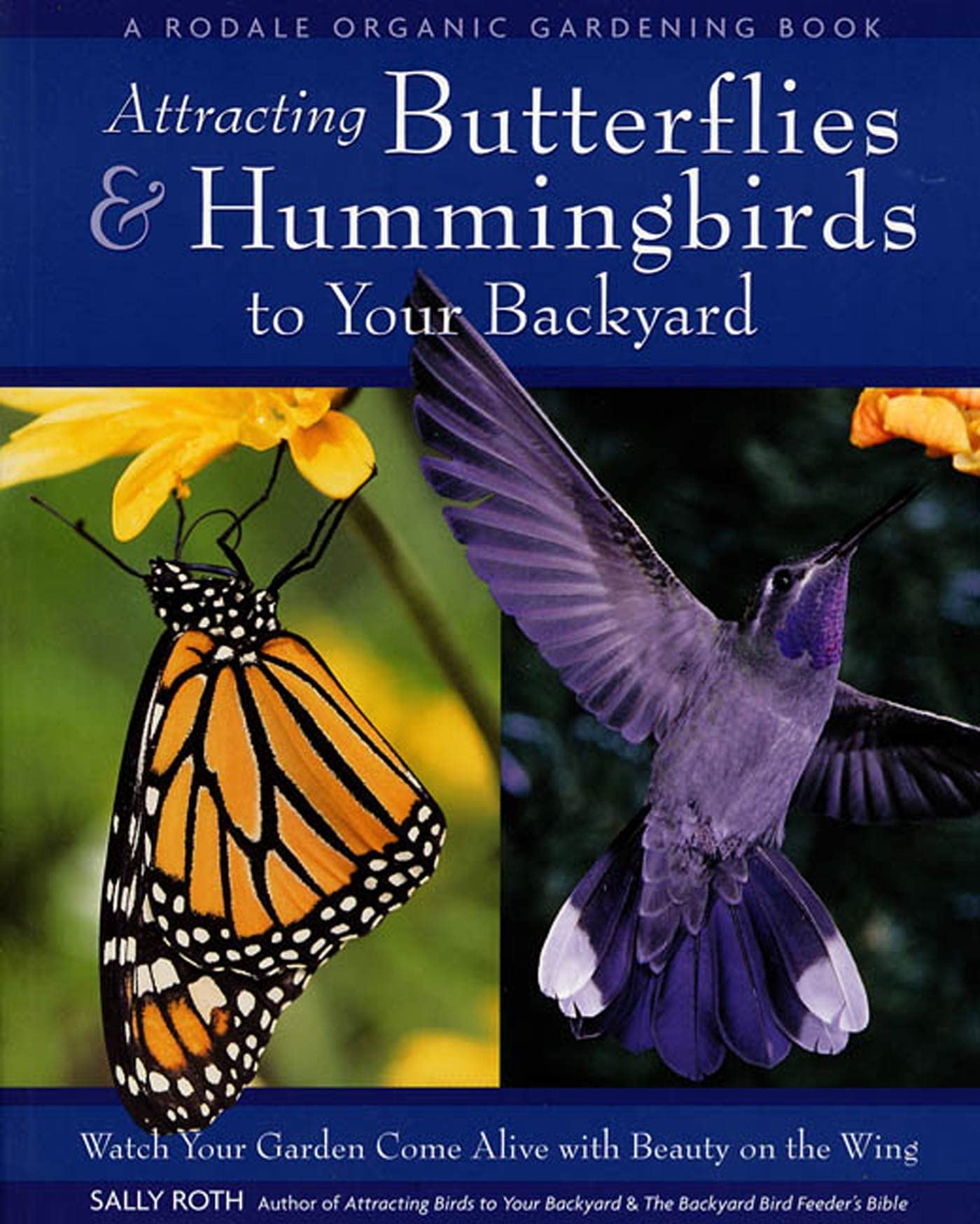 Attracting Butterflies & Hummingbirds to Your Backyard: Watch Your Garden Come Alive With Beauty on the Wing