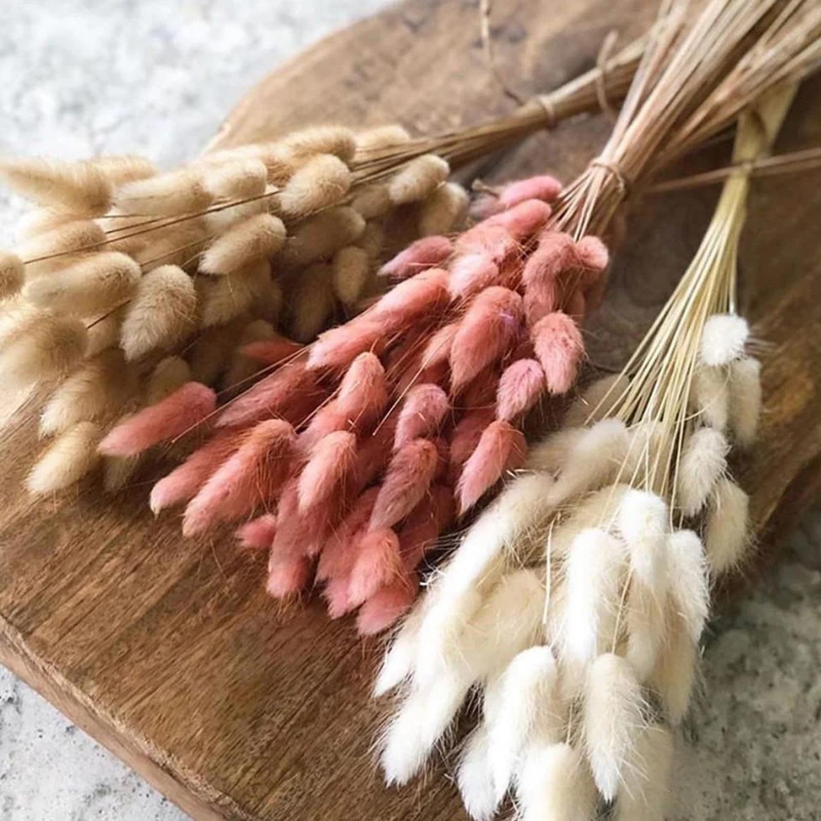 Flores secas de cola de conejo,100 piezas 45 cm hierba de cola de conejo seca decoración del hogar Boho, hierba de Pampa Natural para arreglos florales decoración del hogar de boda rosa claro