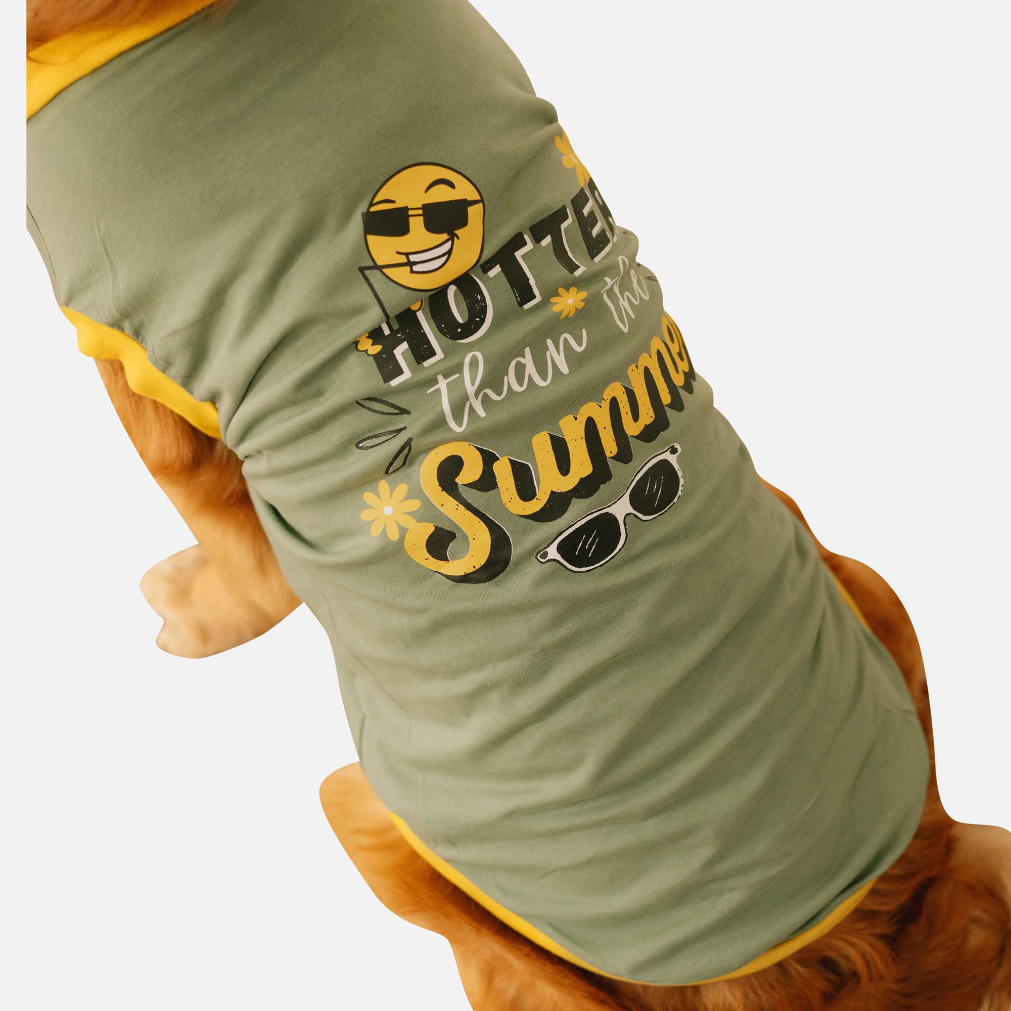 Pet Set Go Hotter Than Summer Printed T-Shirts for Dogs and Cats | Sleeveless | Pet Clothing | Round Neck | Gifts for Dogs (Small, Medium, Large Breed Dogs) | 100% Cotton - Green (6XL 28”) (B0C46H6RS1) Amazon Price History, Amazon Price Tracker