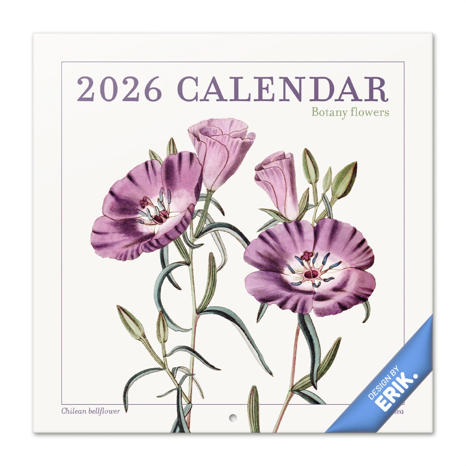 Grupo Erik Wall Calendar 2026 - Flowers Botanical Calendar 2026 | Square 30 x 30 cm - 12 x 12 inches Wall Planner, Family Planner Month To View | Botanical Gifts For Friends