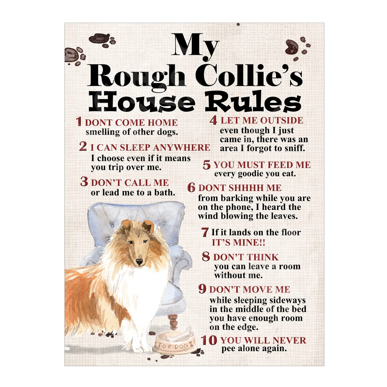 Metal Tin Sign Dog Plaque Dog's House Rules Garden Bar Home Decor Garage Man Cave Poster Pet Gift Dog Lovers (Rough Collie 8x6 Ref8272) — image 1