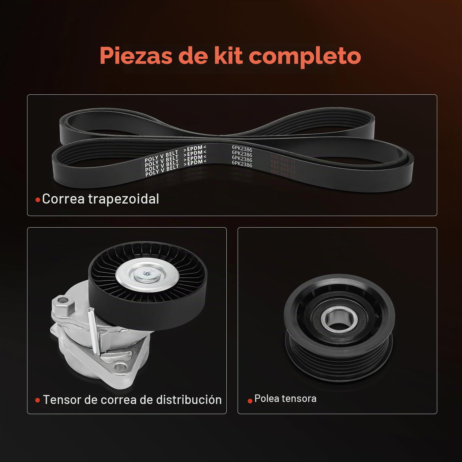 Frankberg Kit de correa de distribución para motor de gasolina | Compatible con: Clase C Modelo T S203, Clase E Modelo T S211, Clase E W211, Clase S V220 W220, CLK C209, SLK R171