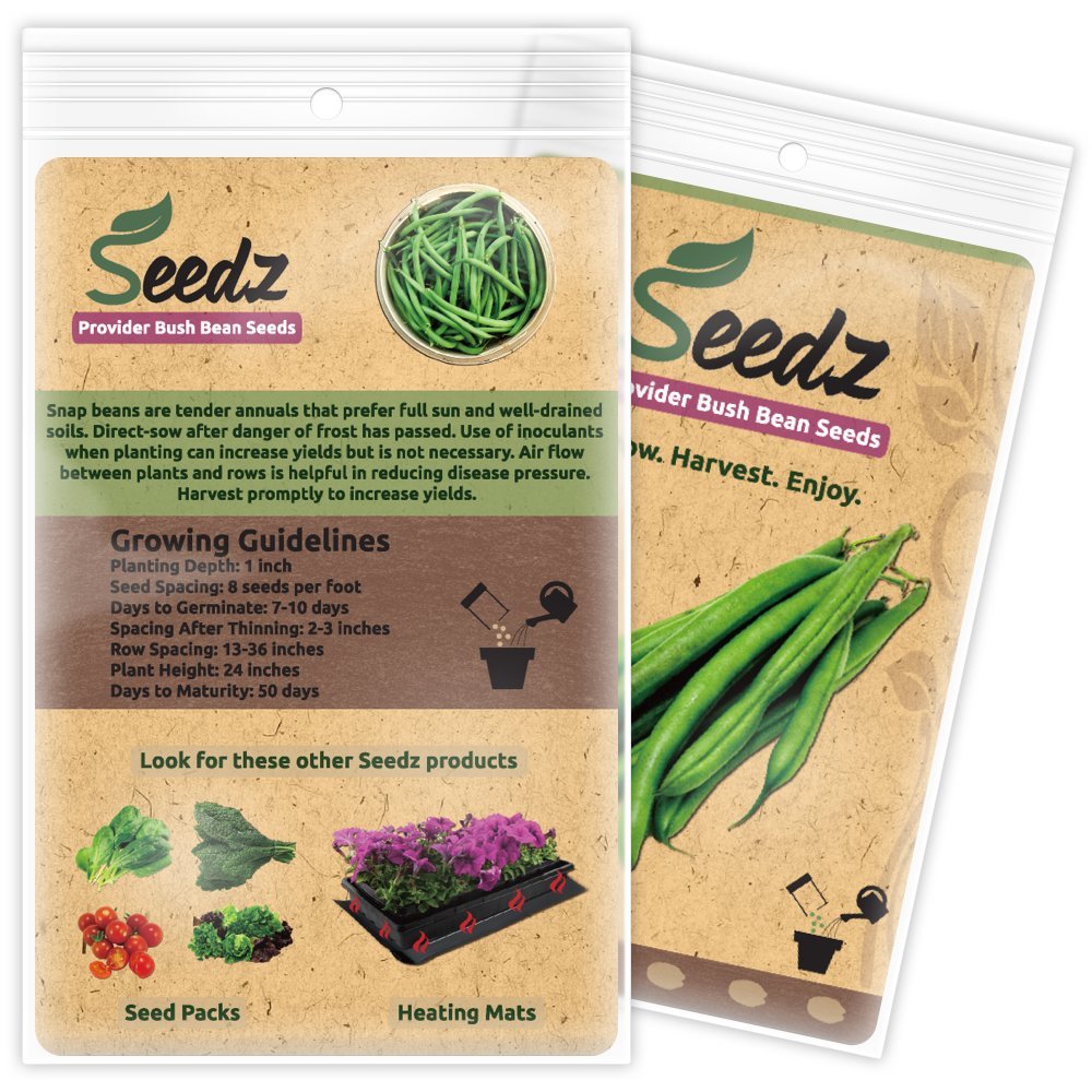 Organic Non-GMO Heirloom Provider Bush Bean Seeds - Easy To Grow Summer Vegetable 5 thumbnail image