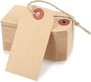 100 PCS Brown Tags with String, Marking Paper Hang Tags Attached Reinforced Hole,Writable Blank Price Gift Tag for All Occasions 2.75 x 1.37 Inch