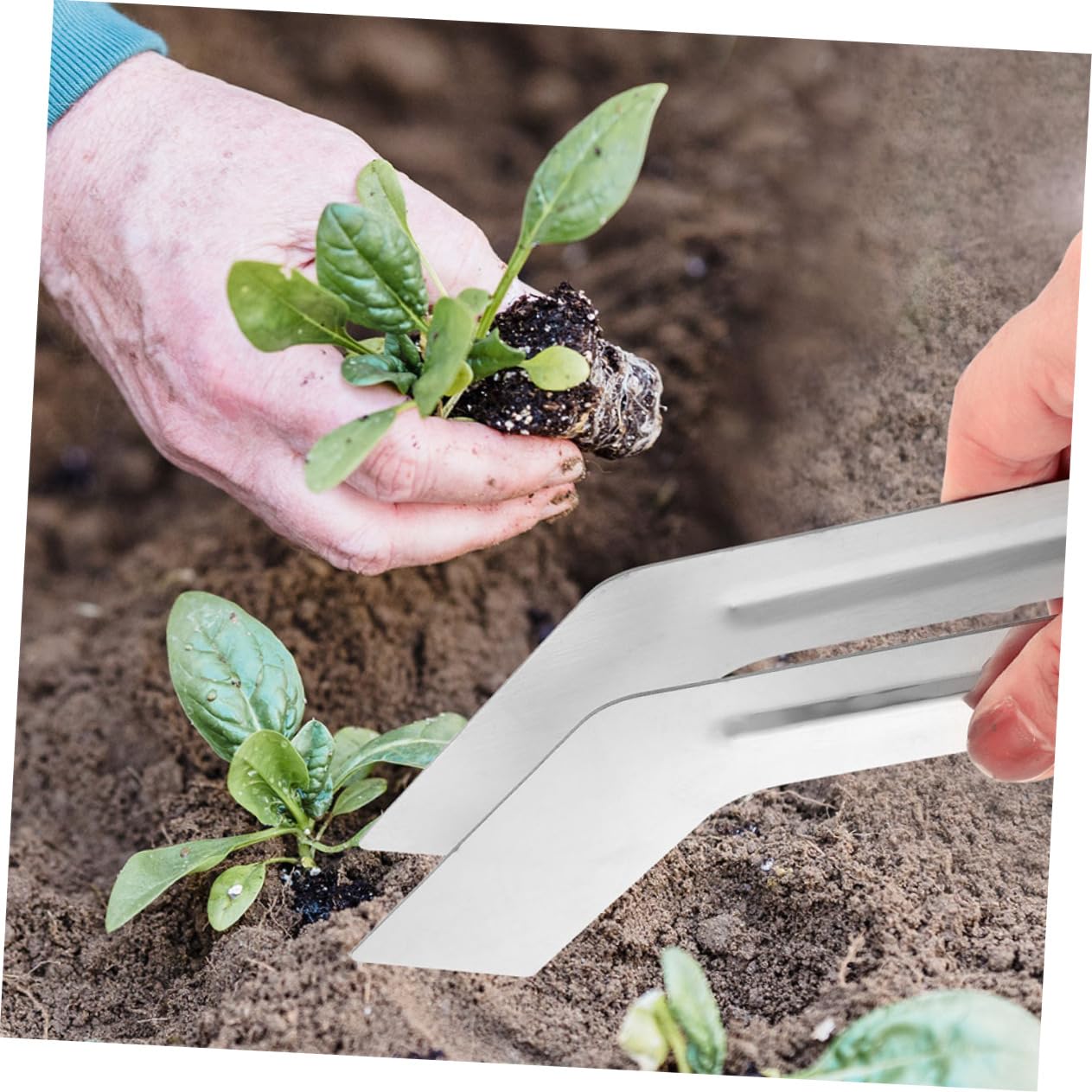 YARNOW 10 Pièces Ensemble D'Outils Floraux Pince D'Enlèvement De Plantes À Main en Acier Inoxydable Petite Pince Accessoire De Jardinage Outil De Plantation Petite Pince pour Plantes