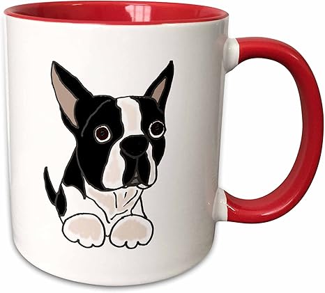 amazon boston terrier