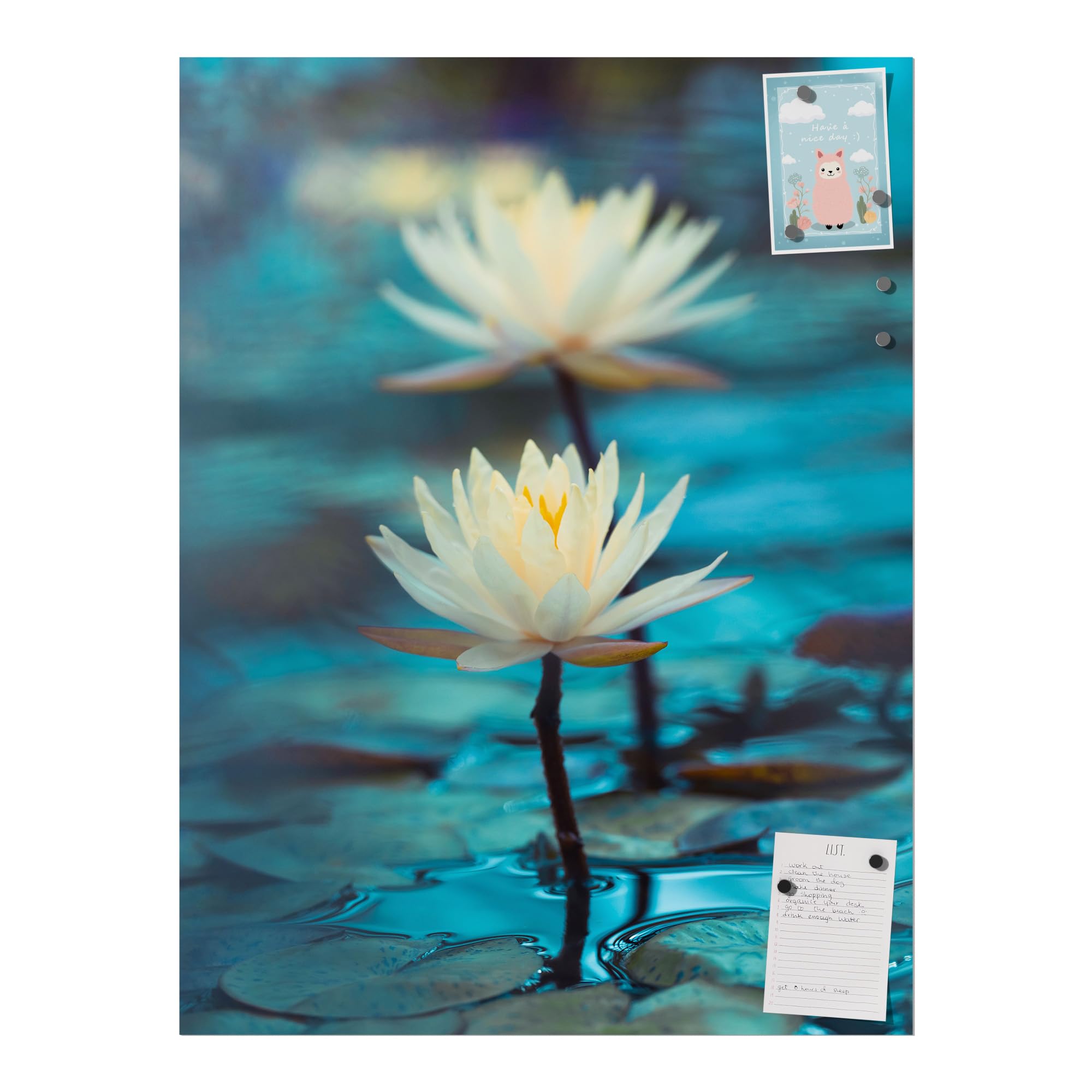 DEQORI Folia magnetyczna do zmywarki 60 x 80 cm | motyw lilii wodnych | dekoracyjna mata magnetyczna ochrona zmywarki | magnetyczna folia dekoracyjna samoprzylepna, magnetyczna i odporna na działanie