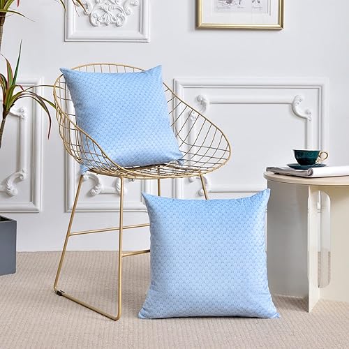 Miniatura 2 de FY FIBER HOUSE Juego de 2 fundas de almohada de terciopelo de 18 x 18 pulgadas, fundas de almohada cuadradas decorativas suaves, para cama, sofá,