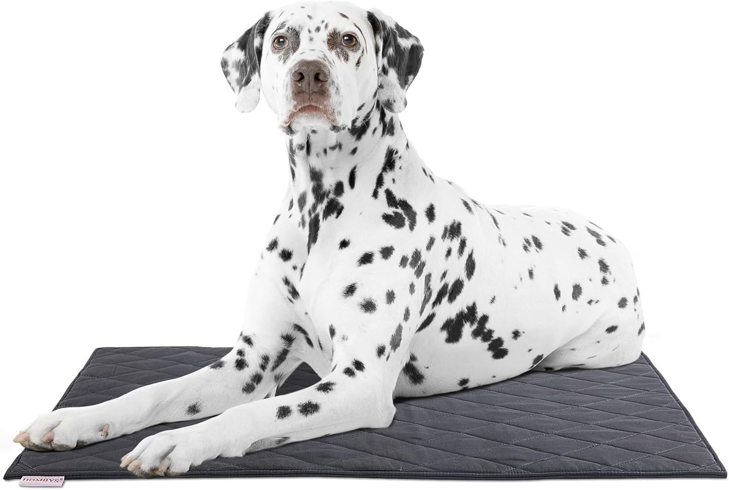 HOMBYS Chew Proof Tough Dog Crate Pad Mat, Durable Pet Bed