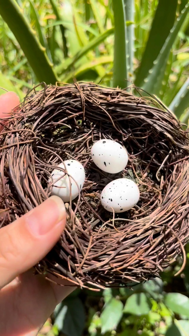 Amazon.com: LWINGFLYER Artificial Birds Nest with Eggs 2 Sets