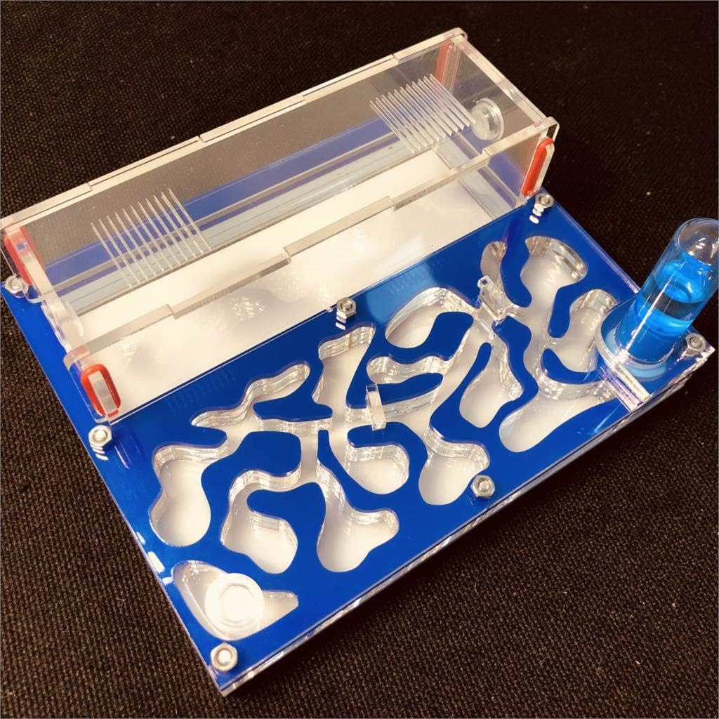 ANT 150mmx110mm Test Tube Moisture Big Space Nest Farm Acrylic, Insect Villa House Ecological Workshop (Blue)