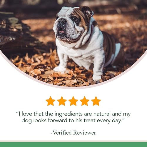 Miniatura 5 de Veterinary Naturals Suplemento de cadera y articulaciones para perros, 60 masticables suaves para perros para apoyo de cadera y articulaciones,