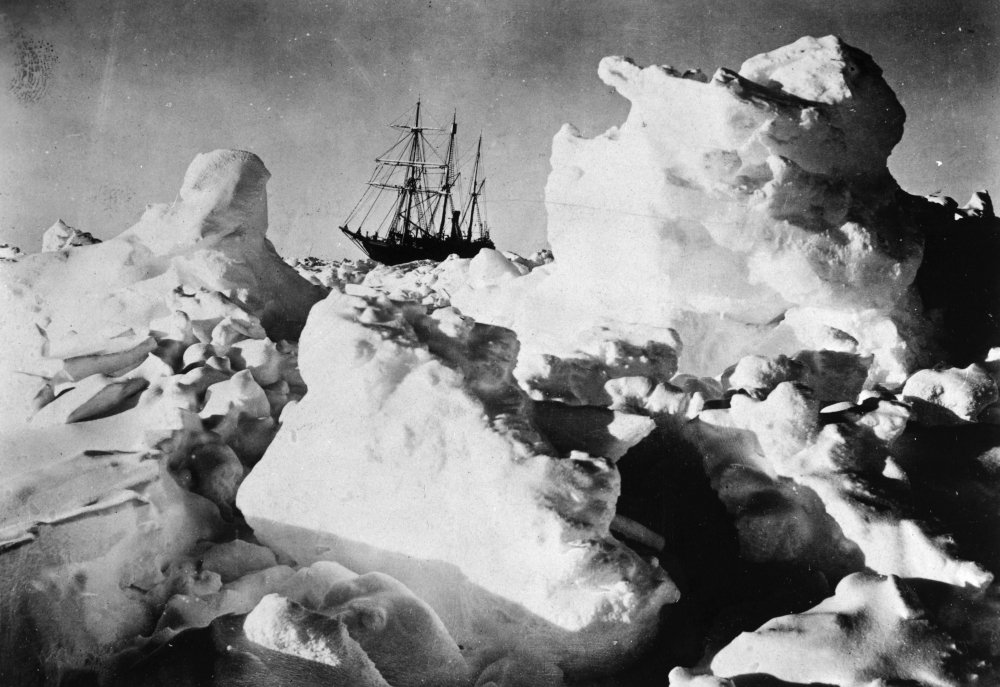 絵画 Endurance Amazon.com: Shackleton Expedition C1915 NshackletonS Ship