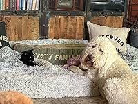 Review Image by K. Jardine K. Jardine