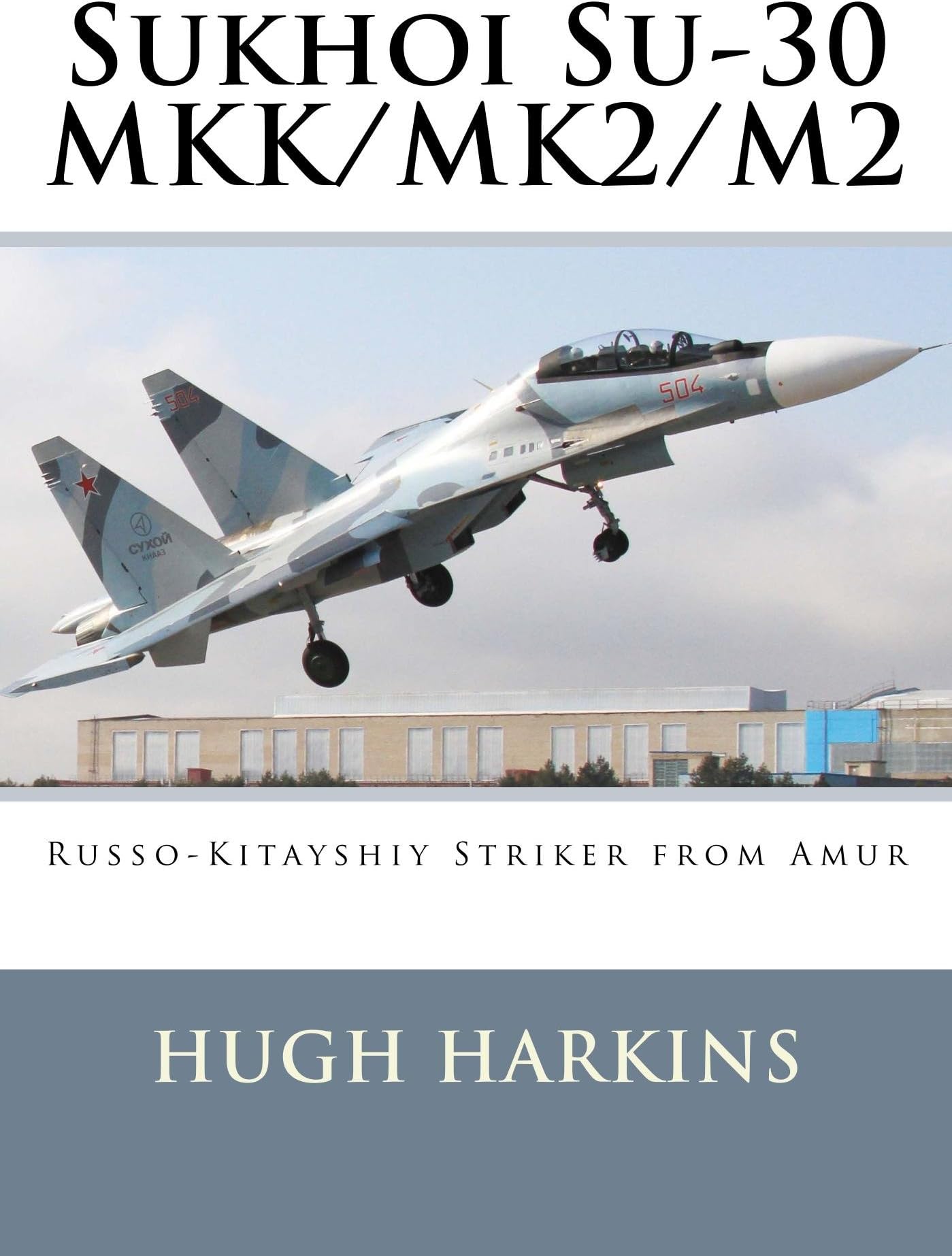 Sukhoi Su-30 MKK/MK2/M2: Russo-Kitayshiy Striker from Amur