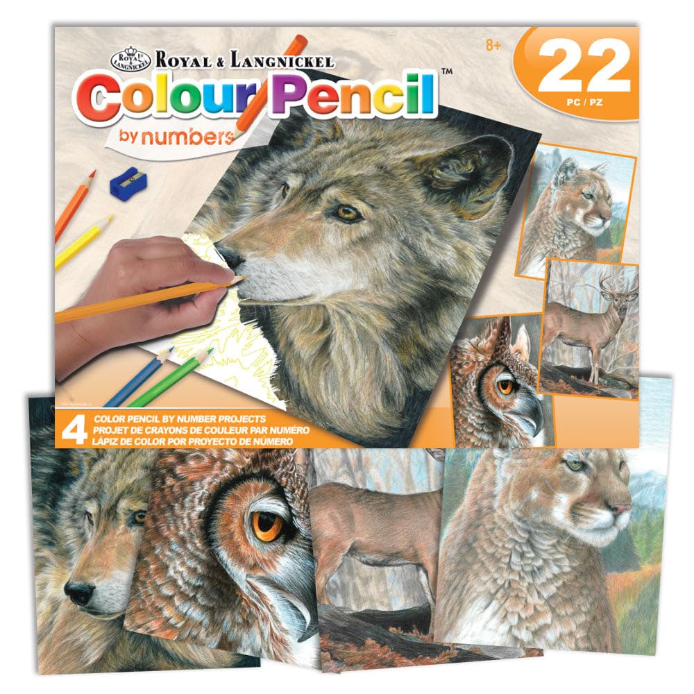 Royal Color Activity Set Pencil by Numbers Act
