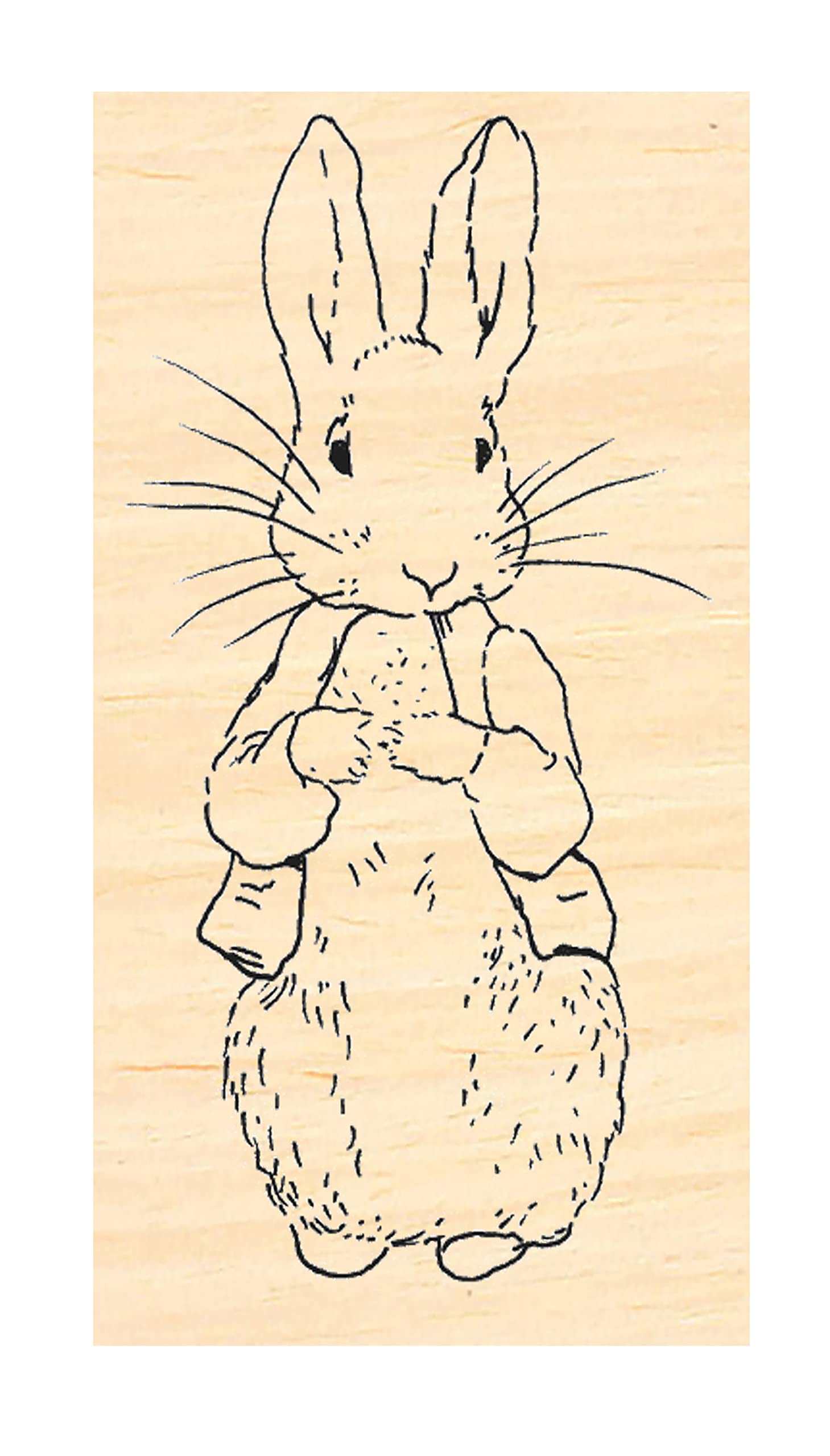 Amazon.com: P128 Peter Rabbit Rubber Stamp : Arts, Crafts