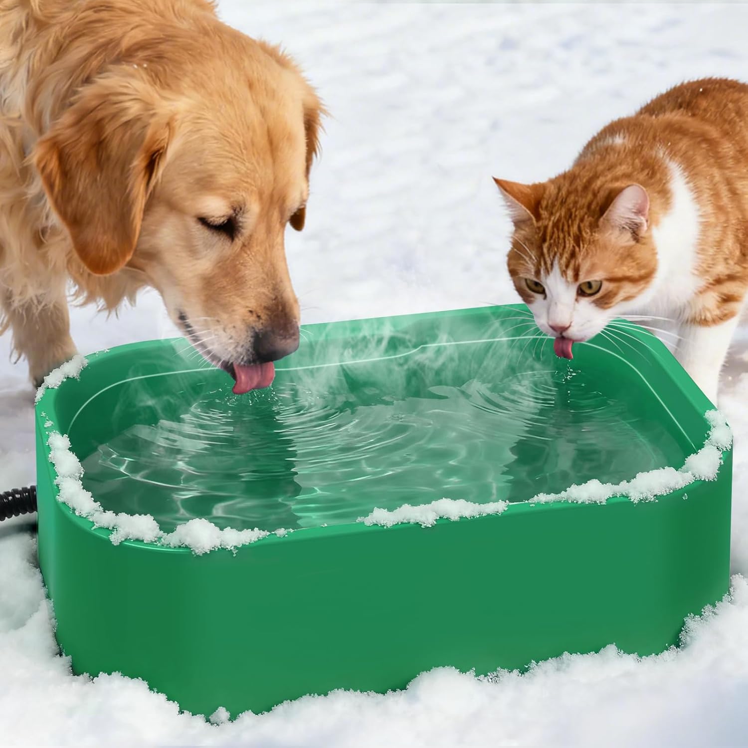 IPOW Extra Large Heated Water Bowl with 5 Layers Design