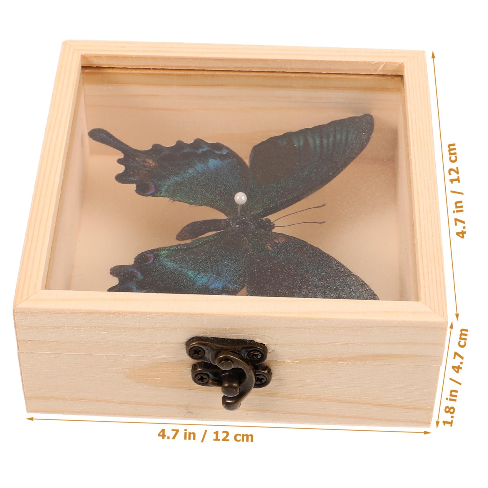 Vaguelly 1 Set Wooden Butterfly Specimen Display Box with Transparent Lid Home Decoration for Education Collectibles Present for Birthdays Insect Enthusiasts
