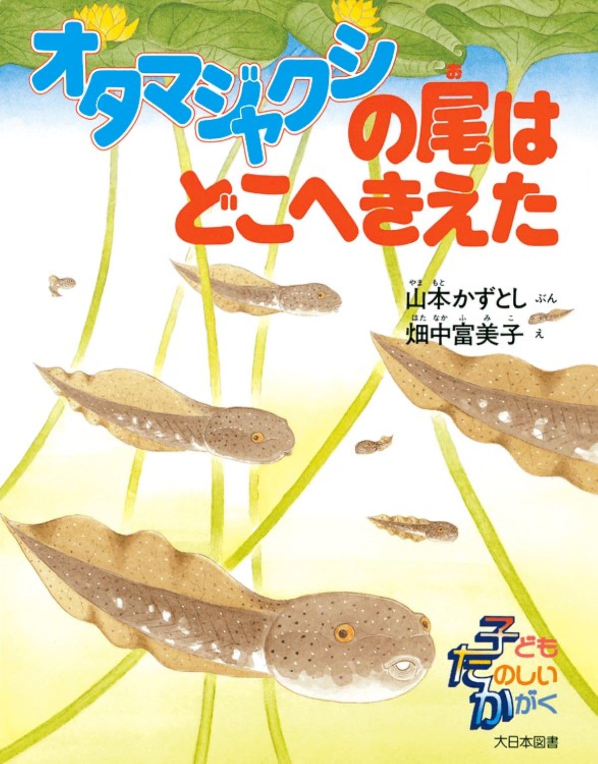① おしゃれなおたまじゃくし おへそはどこかなかえるくん 他