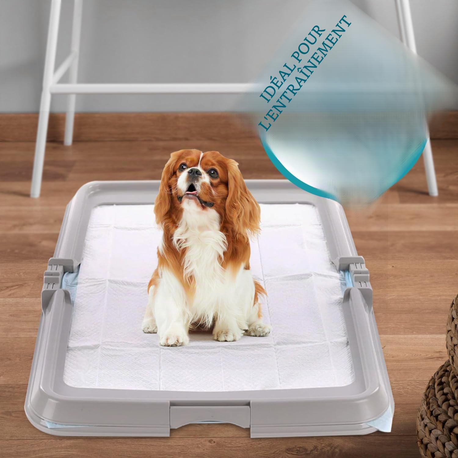 Aqpet Friends BauBox Litière pour Chien Toilette Pliable 86 x 62 cm Plateau Porte-Tapis absorbants
