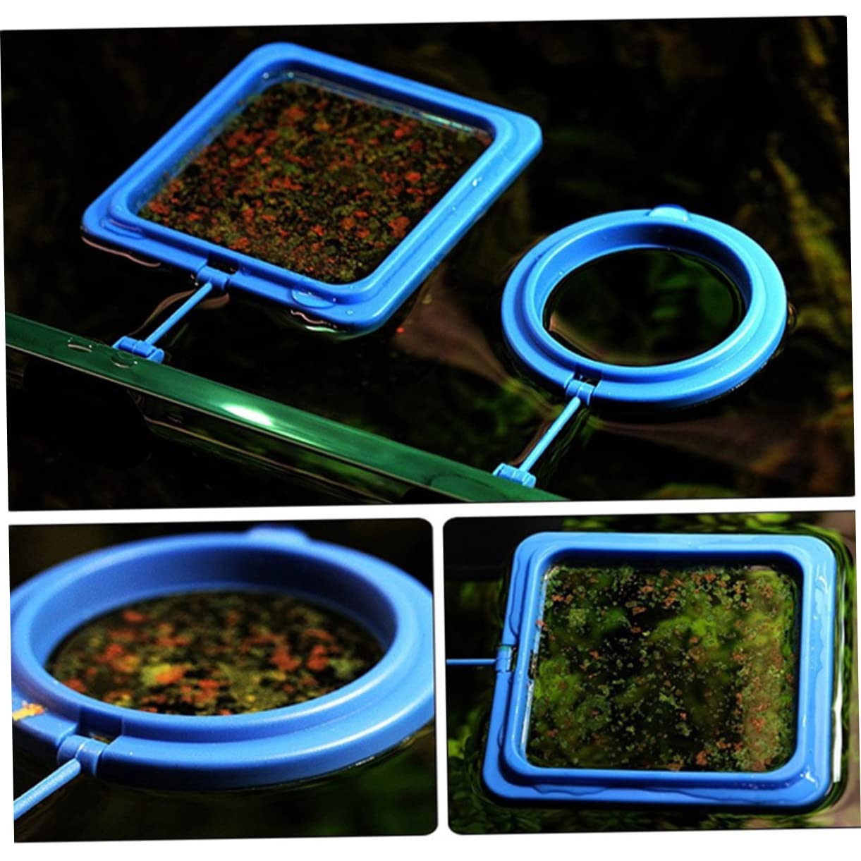 BCOATH Fish Tank Feeder Automatic Floating Fish Feeder Feeding Ring Design Suction Cup Feeding Ring