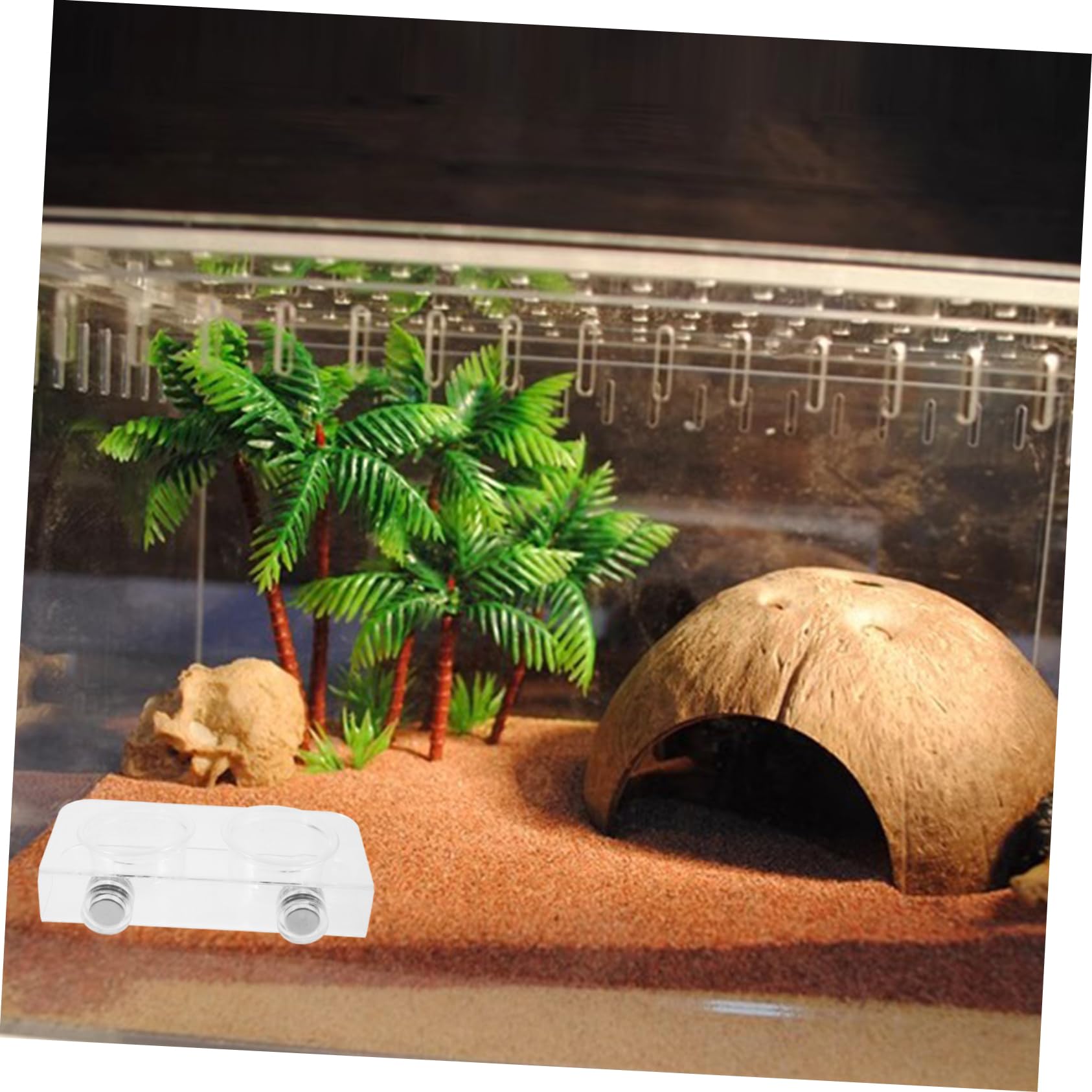 BESPORTBLE 4juegos Comedero Magnético para Reptiles Plato De Alimentación Dispensador De Agua para Geckos y Tortugas Fácil De Limpiar y Duradero para Terrarios y Mascotas Pequeñas