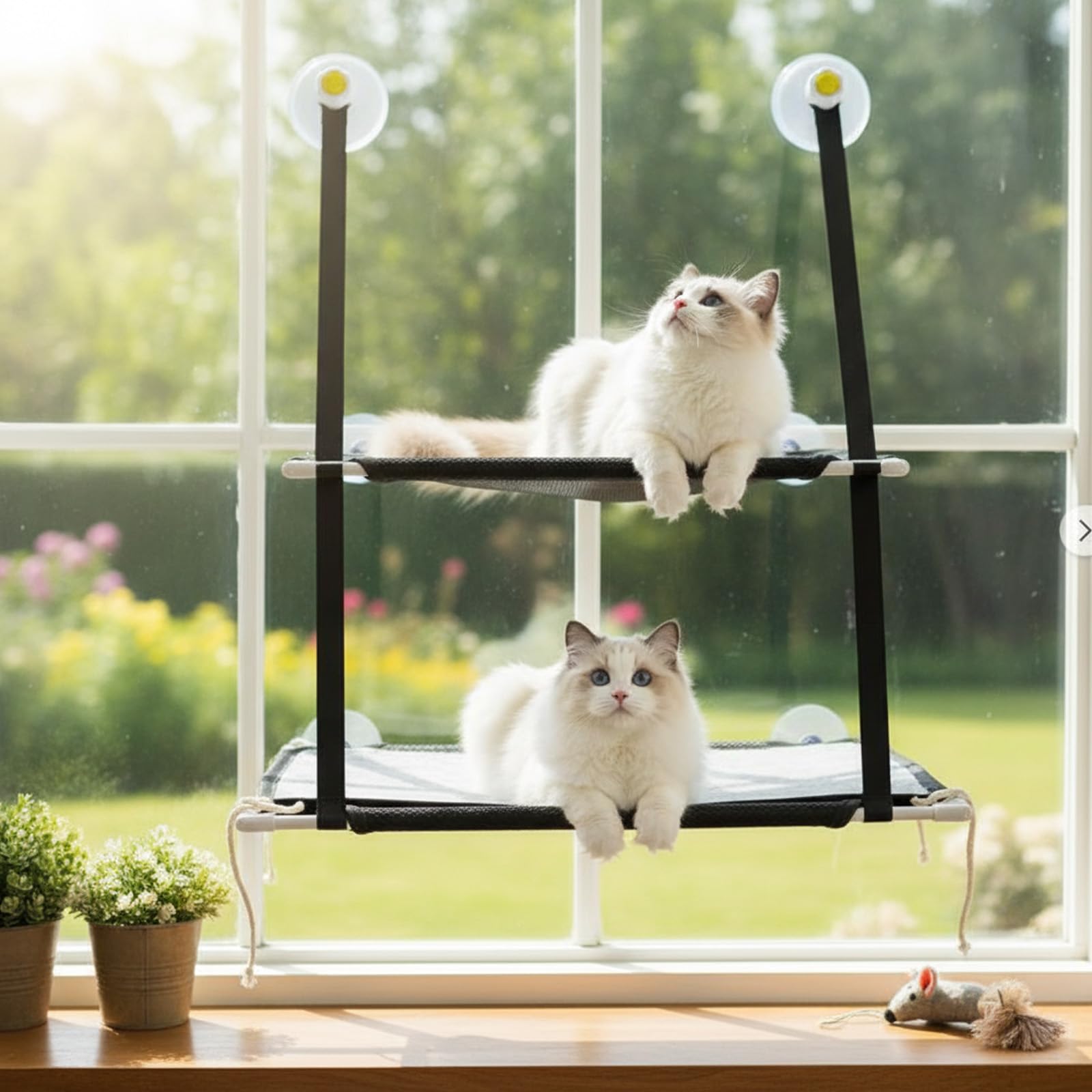Doble Hamaca para Ventana de Gato,Asiento Soleado de Gatito con Fuerte Ventosa,Cama Colgante para Gatos,Soportar hasta 25kg,para Tomar la Siesta y Tomar el Sol