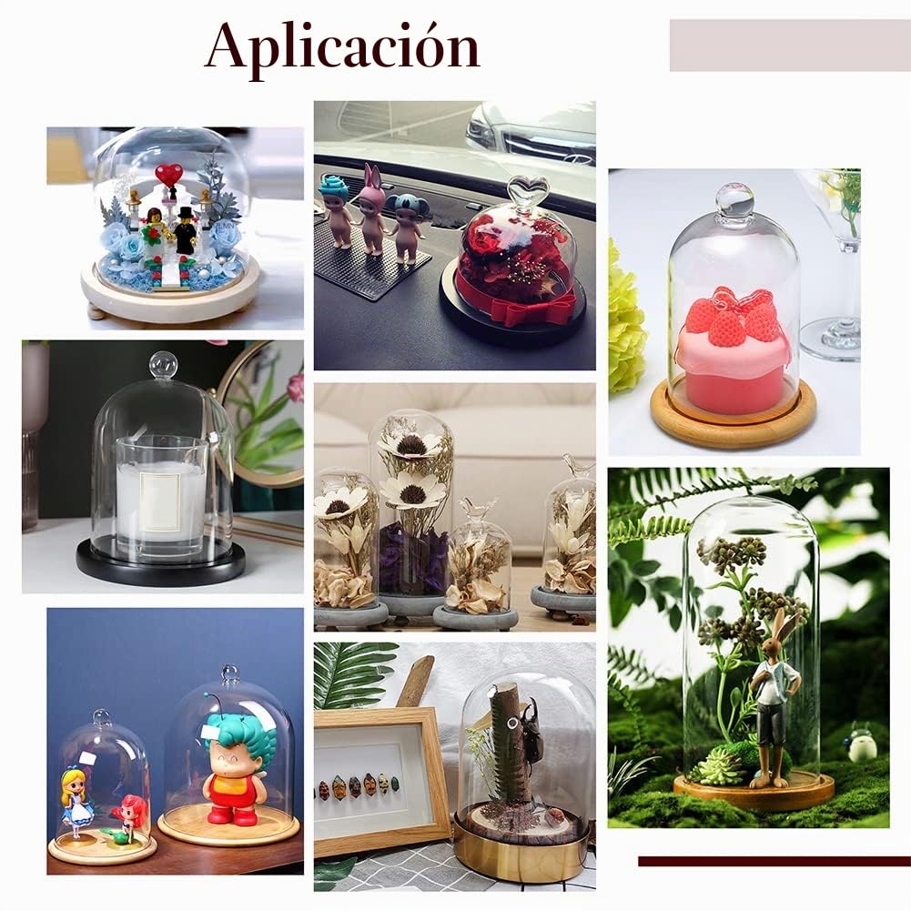 PH PandaHall Vitrina de cristal con base de madera, botellas de decoración de vidrio para plantas, exhibición de flores, arcilla, suculentas, almacenamiento, hogar, decoración, 4.3x7.2 pulgadas
