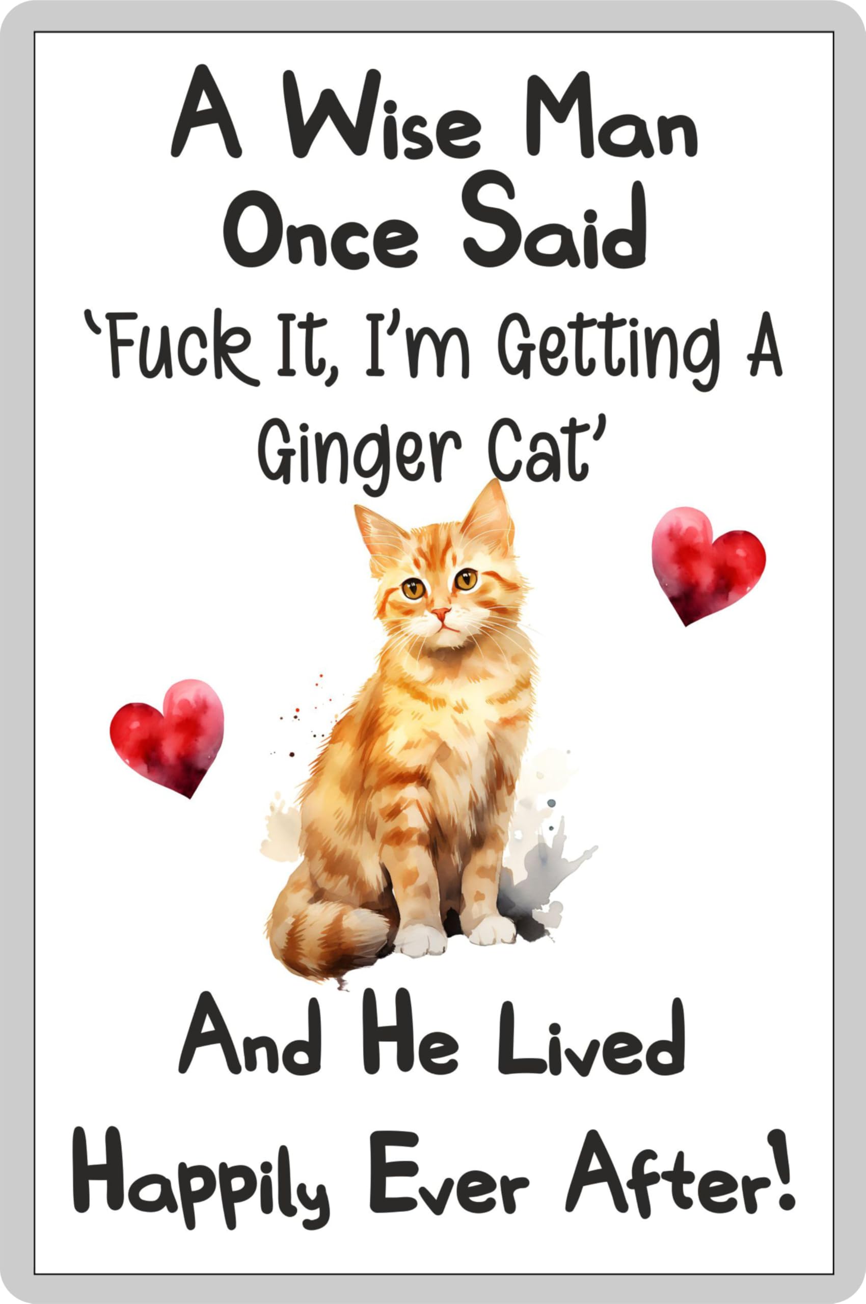 Decalarama Cat Fridge Magnet Gift – A Wise Man Once Said Fuck It I'm Getting A Ginger Cat – Fun Rude Cute Pet Novelty Present