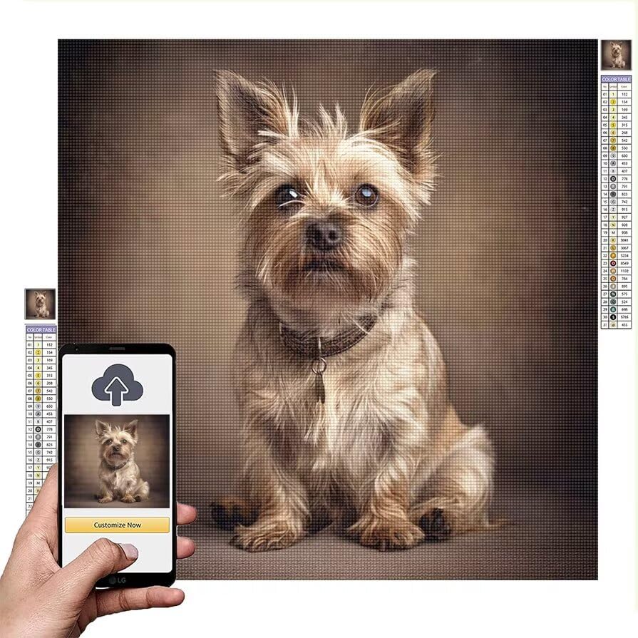 Diamond Painting Personnalisé 50x50 Toile Anti Pli Full Drill