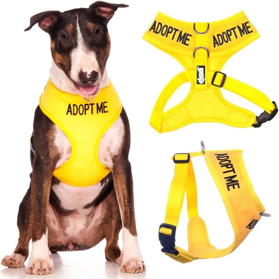 Dexil Adopt Me Yellow Color Coded Non-Pull Front and Back D Ring Padded and Waterproof Vest Dog Harness, Large Harness 22-32 Inch Chest/Girth