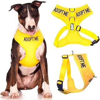 Dexil Adopt Me Yellow Color Coded Non-Pull Front and Back D Ring Padded and Waterproof Vest Dog Harness, Large Harness 22-...