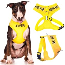 Dexil Adopt Me Yellow Color Coded Non-Pull Front and Back D Ring Padded and Waterproof Vest Dog Harness, Large Harness 22-32 Inch Chest/Girth