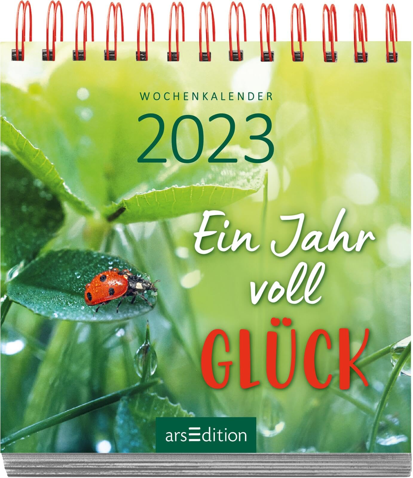 Display Mini-Wochenkalender 2023: Mit 10 x 5 Ex. | Kleine Tischkalender voller Inspirationen für jeden Tag