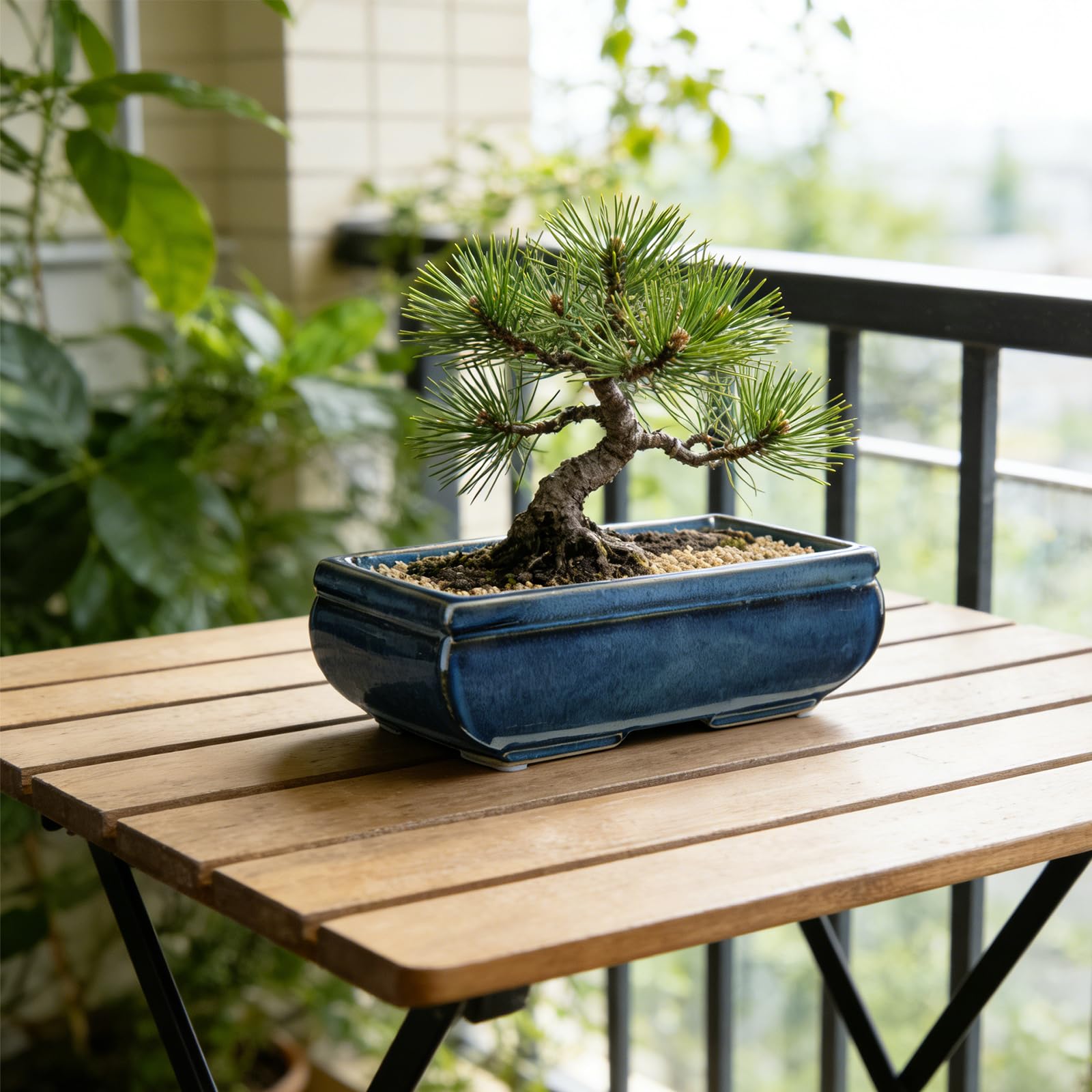 2点セット 鉢 植木鉢 食 観葉植物 | 植木鉢テラコッタPJメリル mini