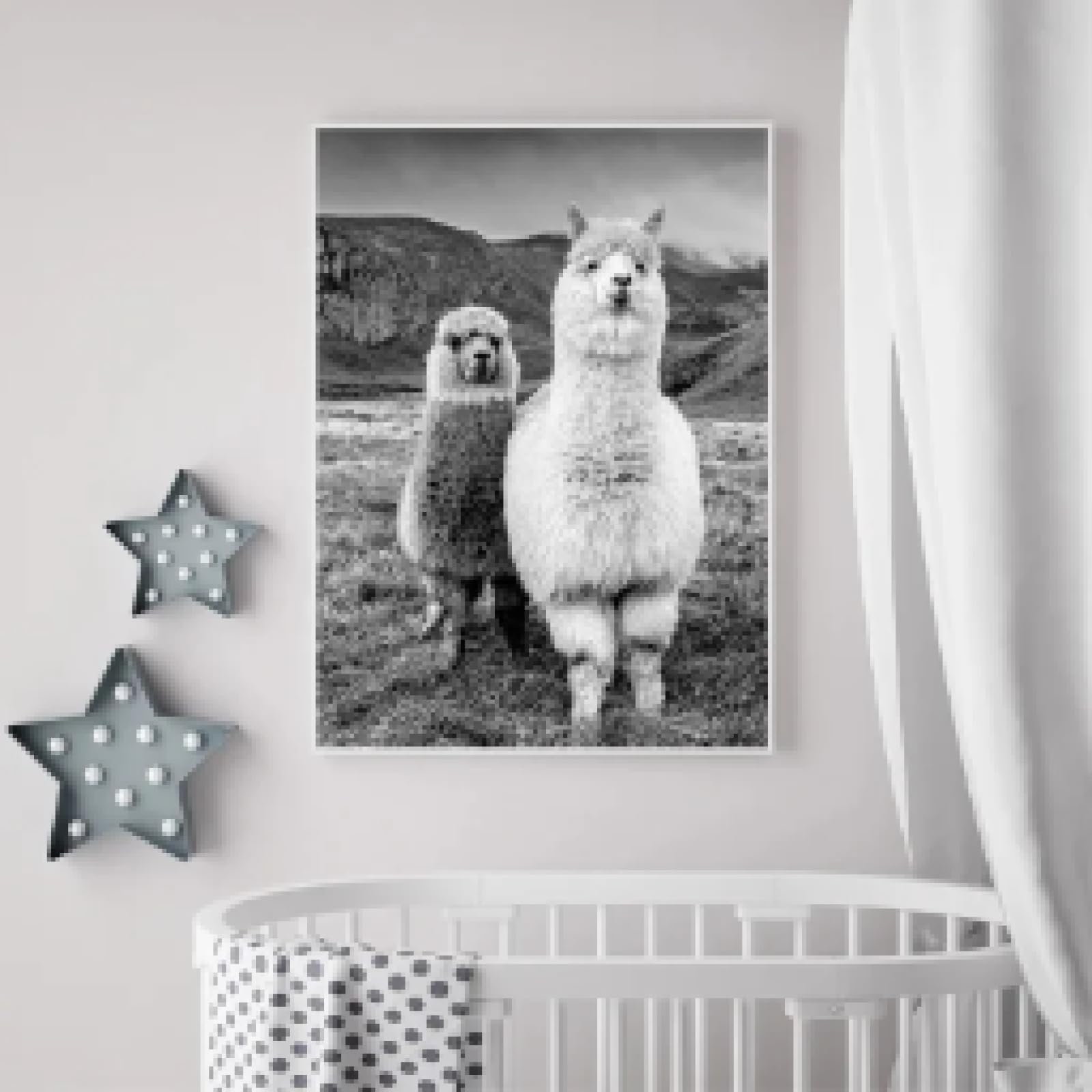 Impression sur toile alpaga noir et blanc cadre tableau mural 30x50 cm - 8