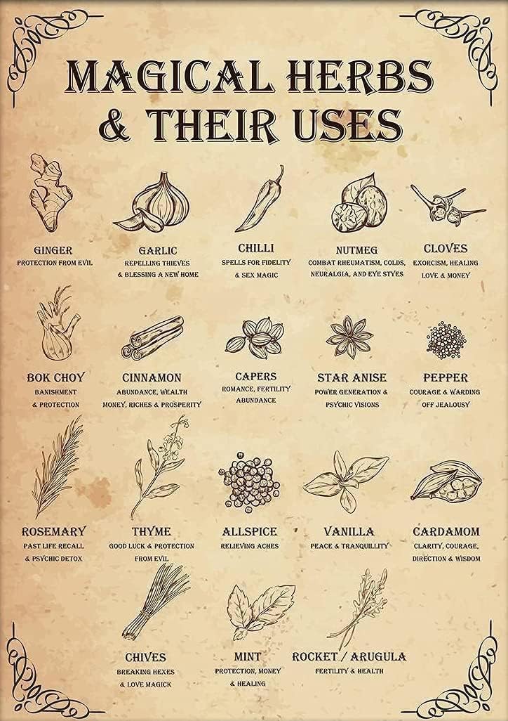 HLBSDM Magical Herbs and Their Uses Witchcraft Poster Kitchen Witch Wall Art Vintage Kitchen Witchcraft Witch Magic Knowledge Poster Tin Man Cave Sign Metal Sign Home Décor 8x12 inches