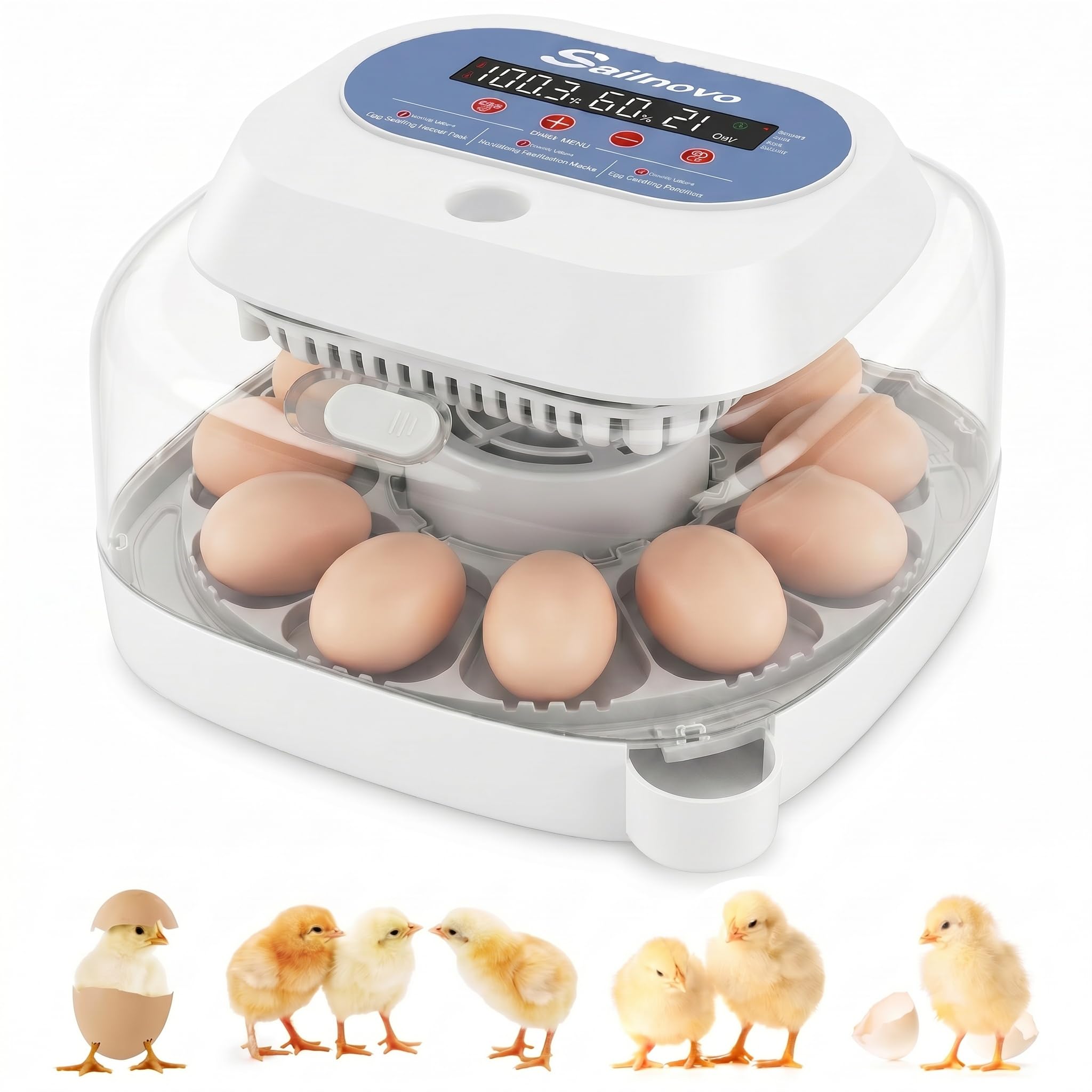 Sailnovo Couveuse oeuf automatique 12 œufs - Incubateur oeuf automatique vue 360°, 4 modes multi-espèces, Contrôle température, Retournement auto, Mire-Œufs Intégré (Bleu)