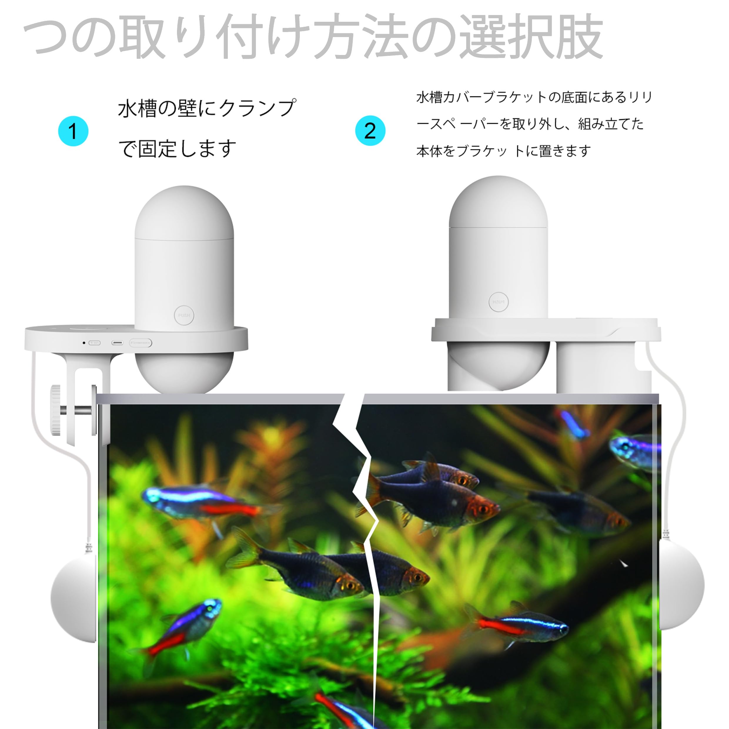 Amazon | Leronron 水族館用自動給餌器 APP付きのWiFiインテリジェント