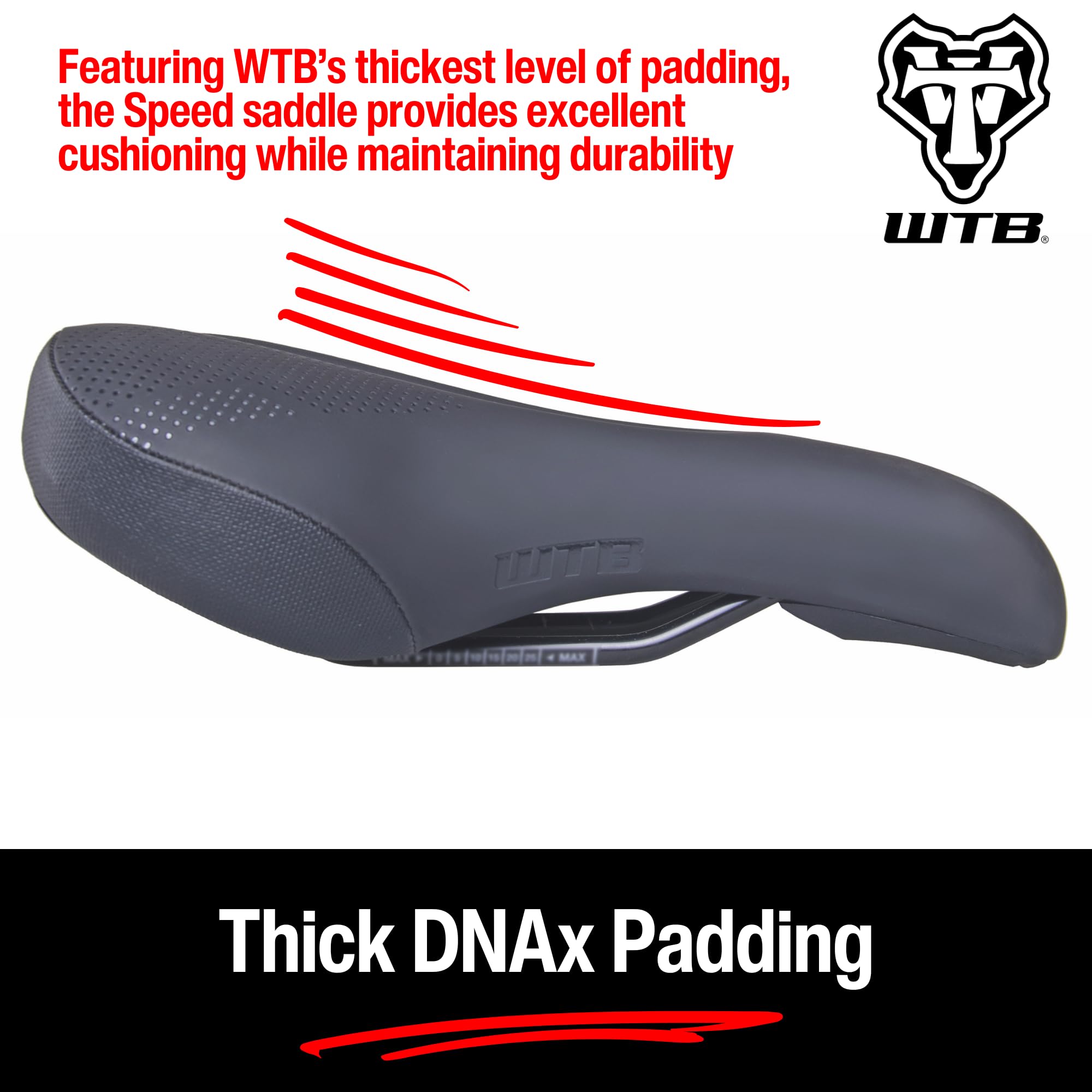 Amazon | WTB Speed She Medium Cromoly Black Saddle 141［並行輸入