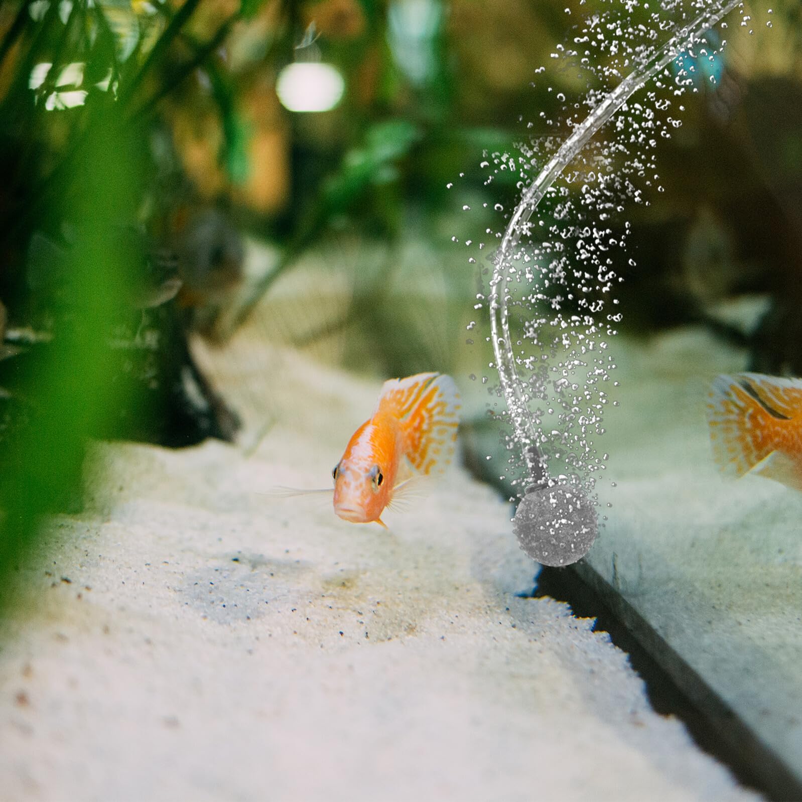 10 Pezzi Pietre d'Aria Rotonde per Acquario Diffusori Bolle Equilibrate in Dinas Riutilizzabili e Resistenti per Serbatoi Pesci d'Acqua Dolci e Marine