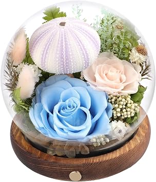 Long-Lasting Real Preserved Flowers in Glass Dome - Unique Starfish or Butterfly Eternal Roses Gift with LED Lights for Women Monther Indoor Decoration, Jellyfish and Blue Pink Rose