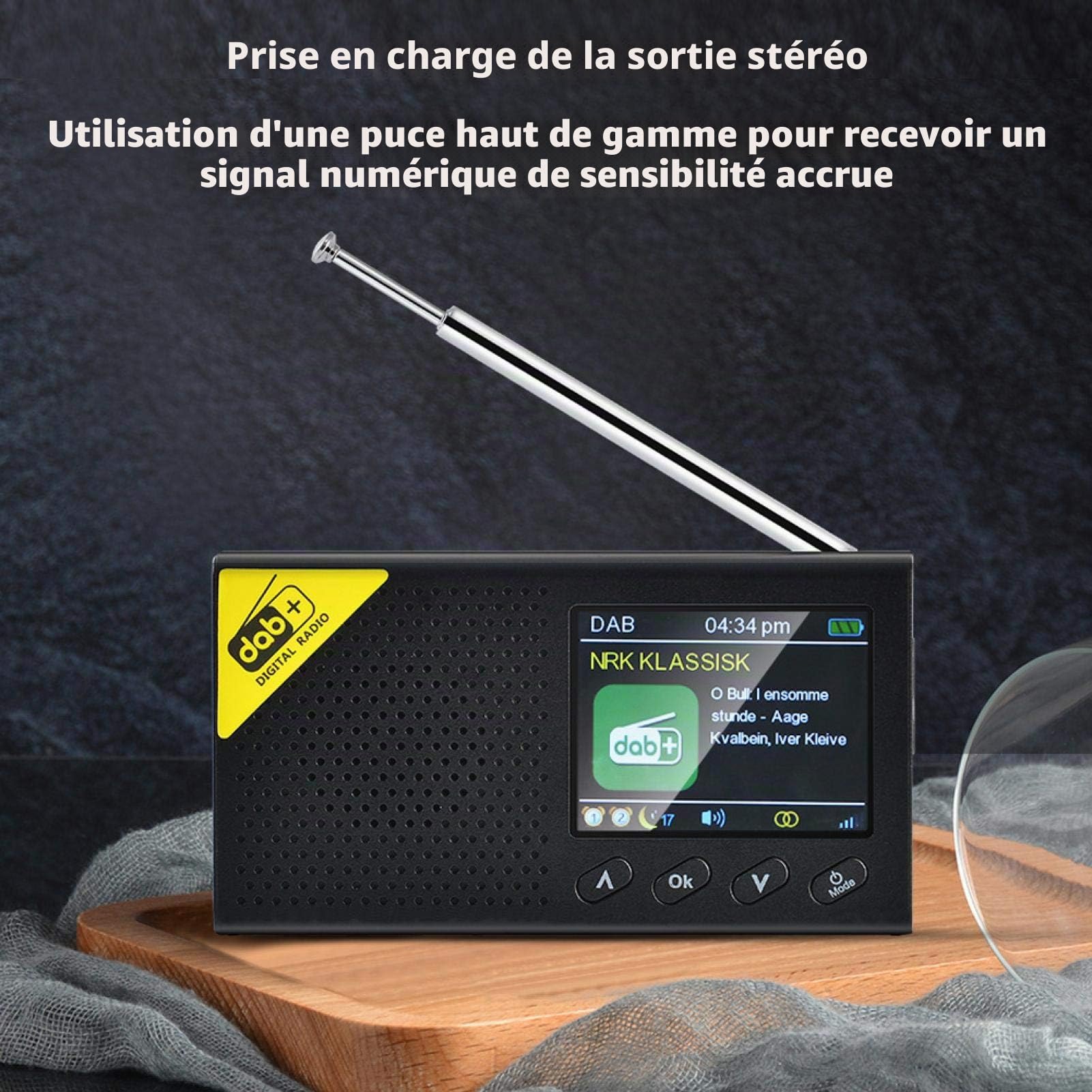 Radio numérique, Bluetooth 5.0 Écran LCD de 2,4 Pouces Radio FM numérique Portable Rechargeable Dab à la Maison utilisant la Radio numérique, pour l'extérieur/Chambres/Maison/Bureau
