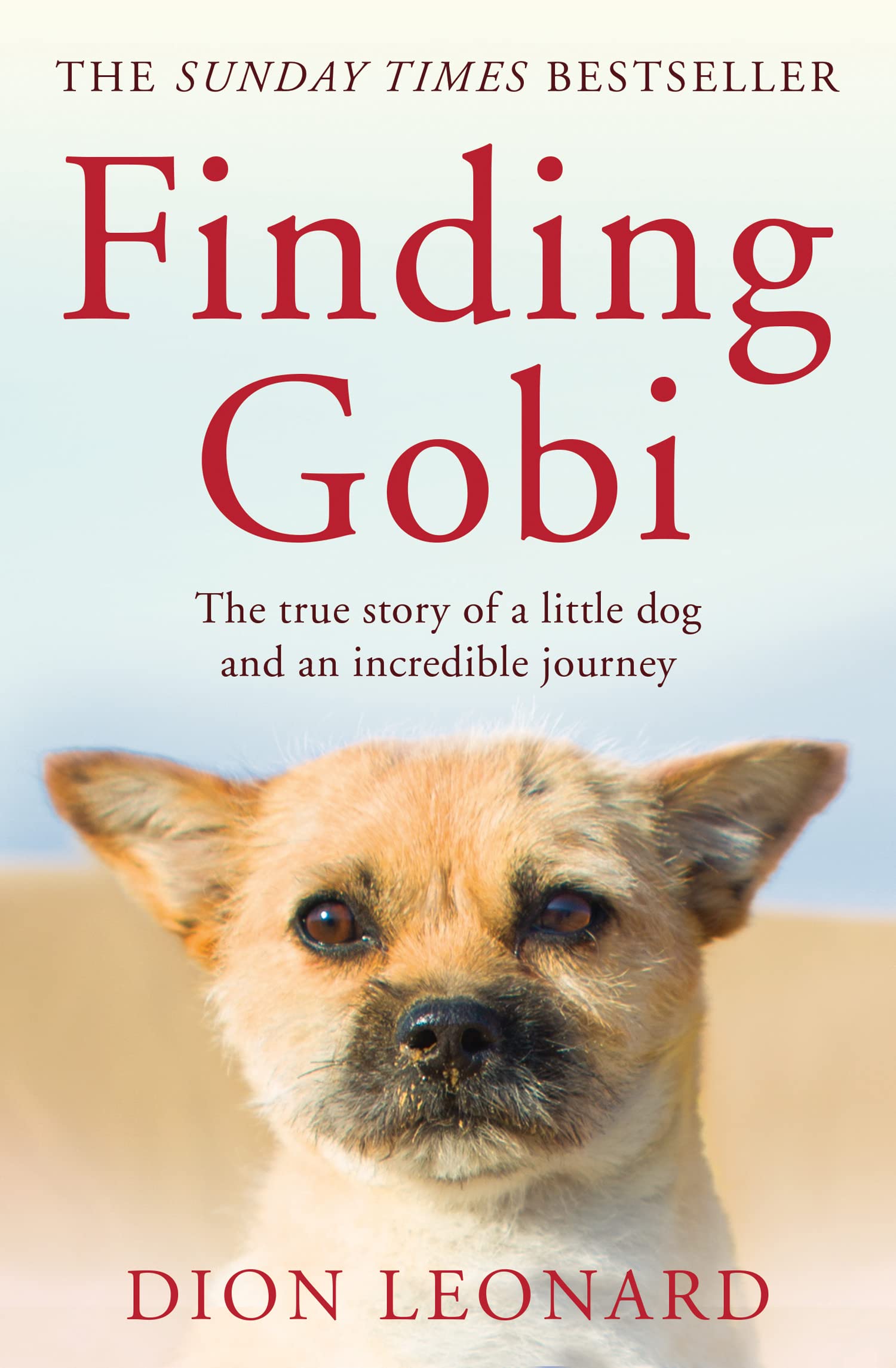 Finding Gobi (Main edition) by Dion Leonard (Paperback Book)