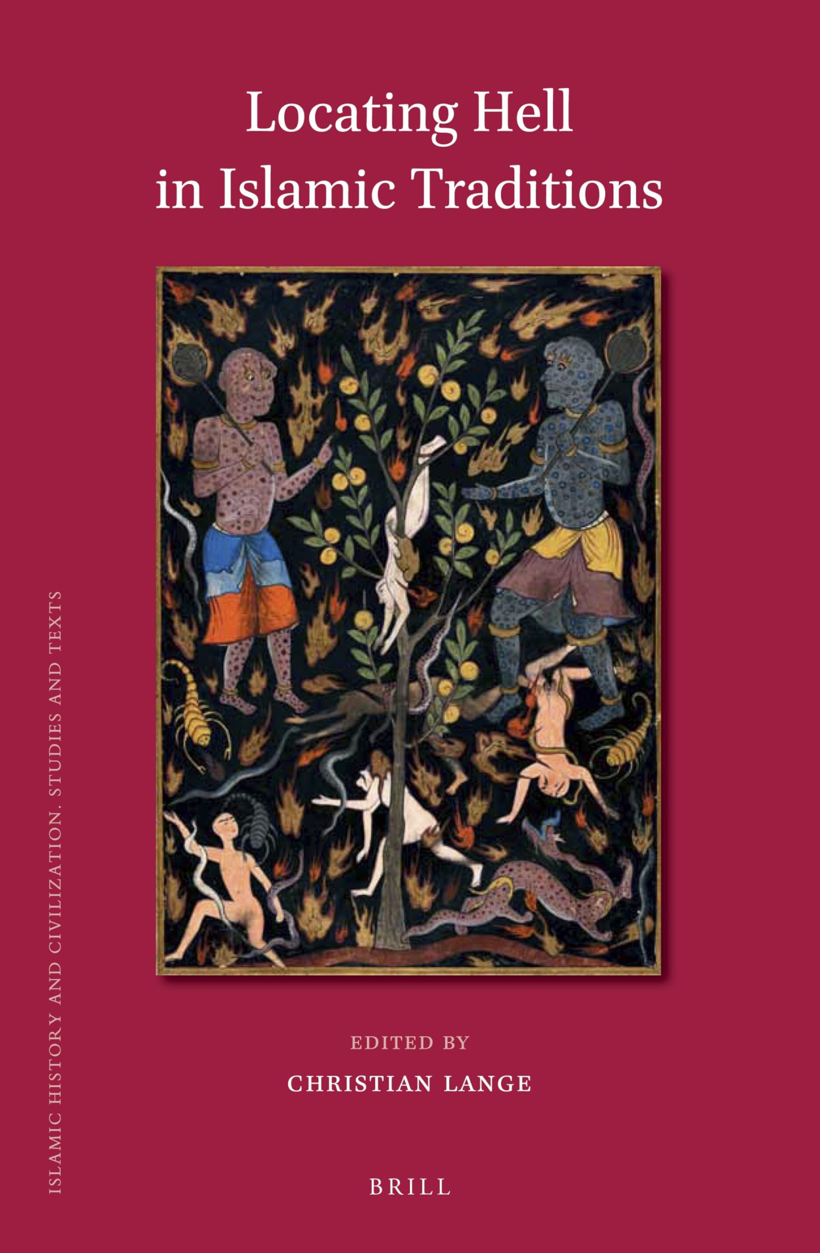 Locating Hell in Islamic Traditions: 119 (Islamic History and Civilization, 119)