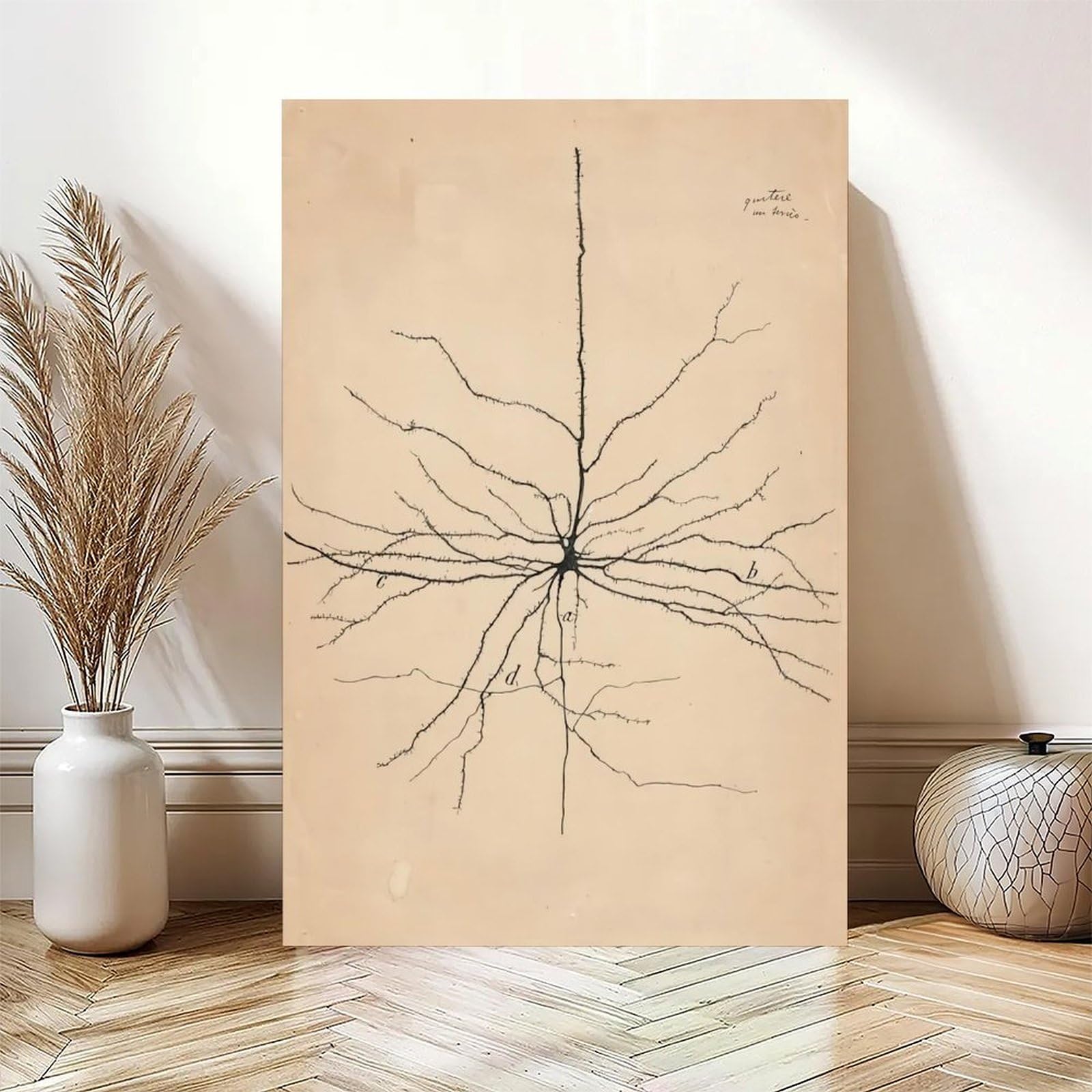 GIEIG Pyramida Neurona Dibujo de Santiago Ramón Y Cajal Póster para Estética de Habitación Lienzo Arte de Pared Marco de 12 x 18 pulgadas (30 x 45 cm)