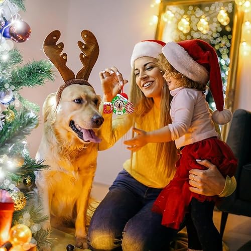 Miniatura 9 de FaCraft Adornos de Border Collies, regalos para mujeres, amantes de los perros, adornos de Navidad Border Collie, adornos de cachorro para