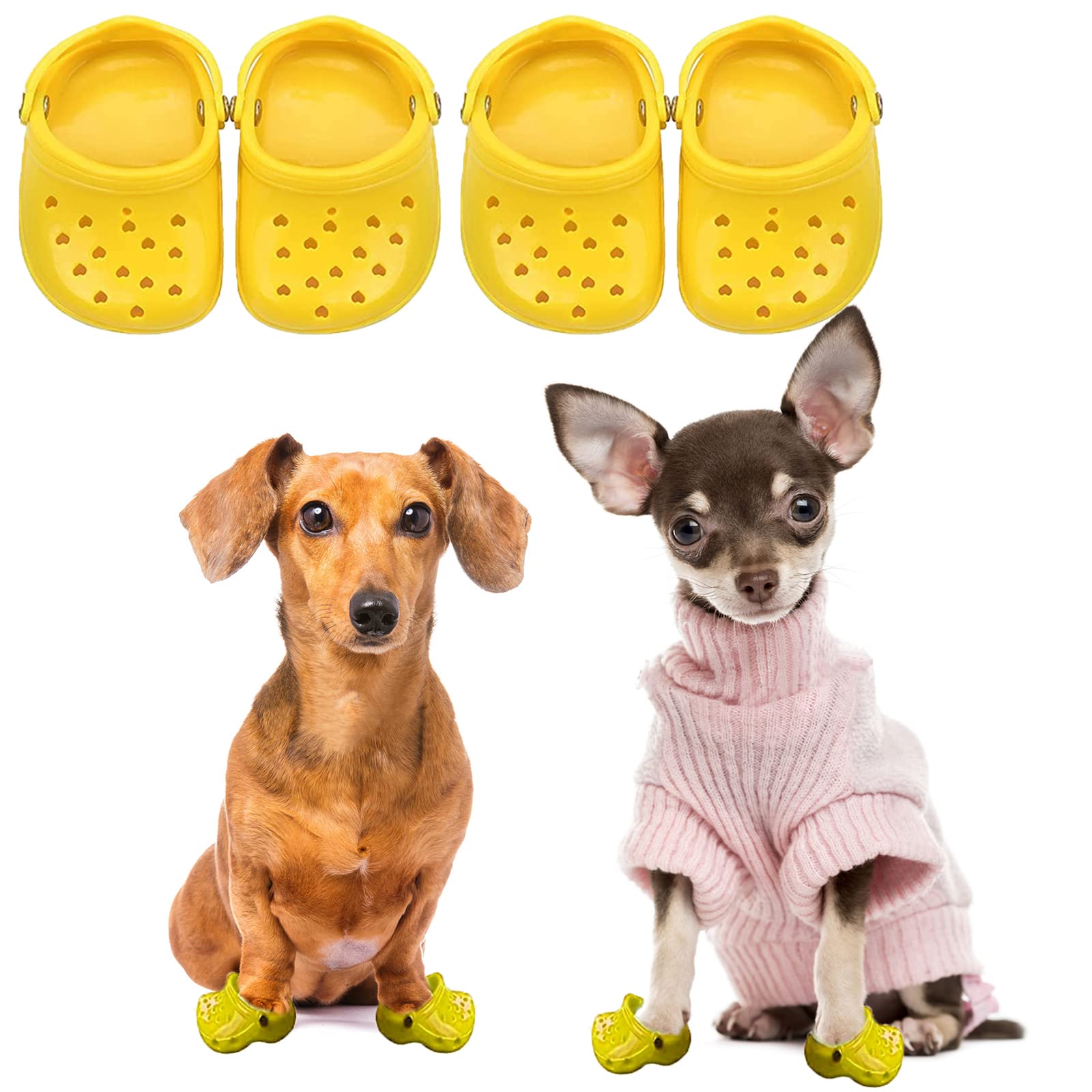 Why Does My Dog Take My Shoes